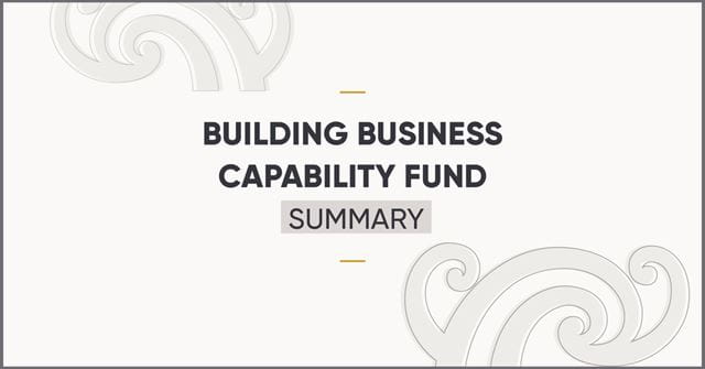 Summary Building Business Capability for Independent Practitioners Fund results