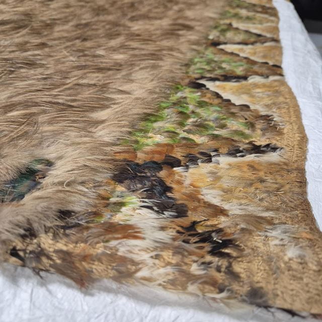 2.	A close-up view of the top boarder band of a kahukiwi by Marata Te Ao Tangohau featuring huruhuru kākā 