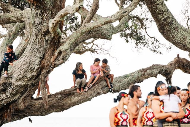 Children playing in a tree